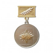 Фото медалей из серебра с золочением